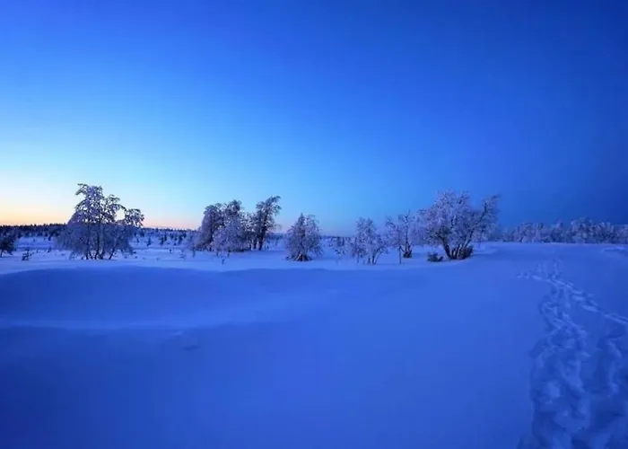 Twin Peaks Urupaeae B